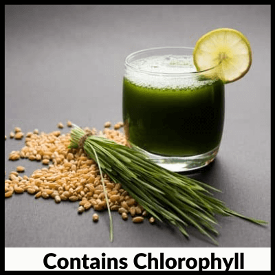Contains Chlorophyll, Best Wheatgrass Tablets