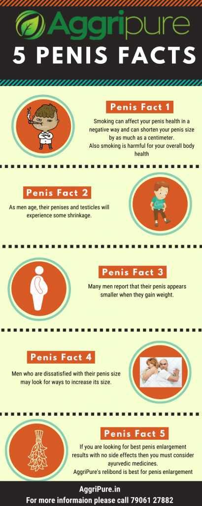 op-5-Penis-facts-Infographic