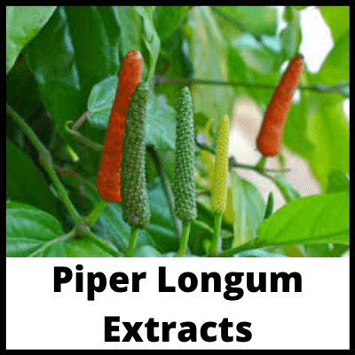 Piper Longum Extracts