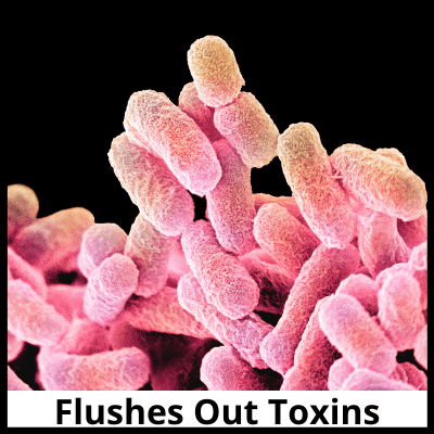 Flushes Out Toxins