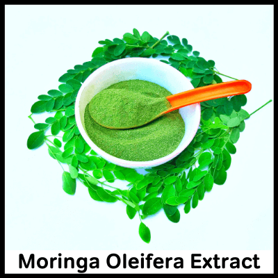 Moringa Oleifera Extract, Best Immunity Booster Tablet
