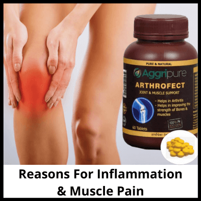 Reasons For Inflammation & Muscle Pain