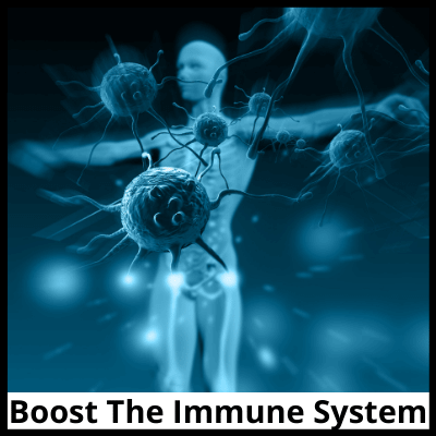 Boost The Immune System, Original Tamba Water Bottle