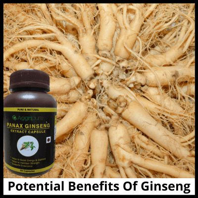 Potential Benefits Of Ginseng, original korean ginseng extract capsule
