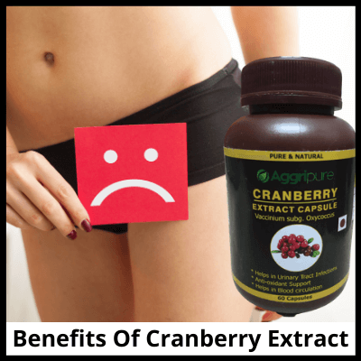 Benefits Of Cranberry Extract, Best Cranberry Supplement