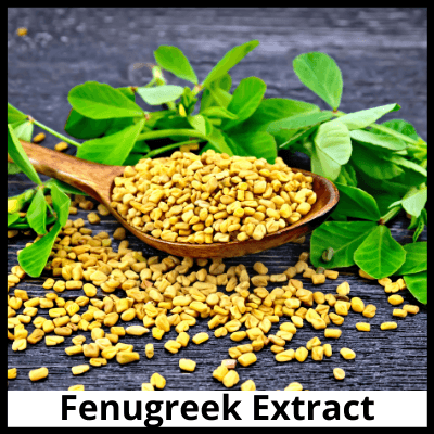 Fenugreek Extract, Pure Fenugreek Extract Capsules