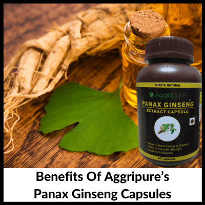 Benefits Of Aggripure’s Panax Ginseng Capsules, panax ginseng extract capsules