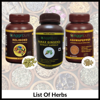 List Of Herbs